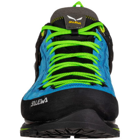 Pánské boty Salewa Ms Mtn Trainer 2 Gtx
