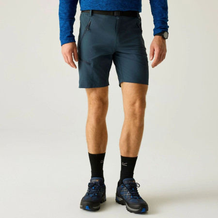 Чоловічі шорти Regatta Xert Stretch Shorts