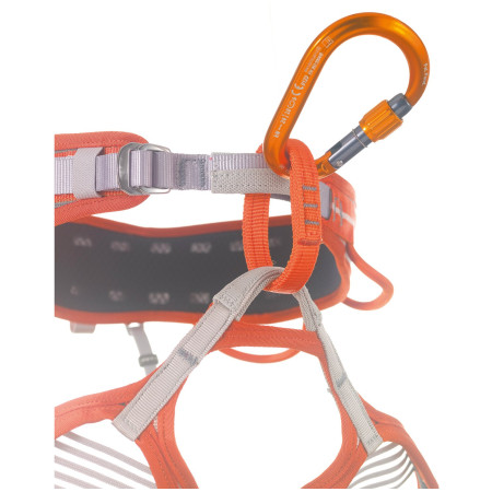 Карабін Camp Core Lock