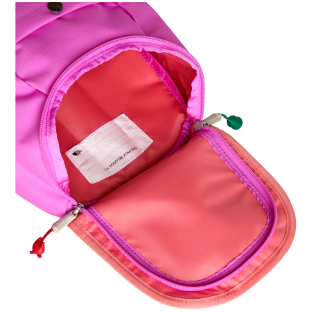 Дитячий рюкзак The North Face Y Mini Explorer