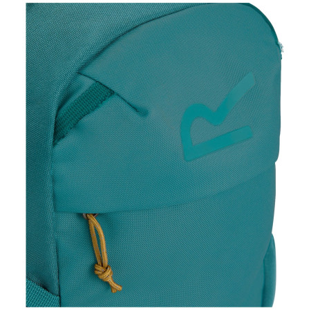 Рюкзак Regatta Prism 20L