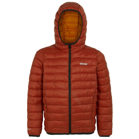Дитяча зимова куртка Regatta Junior Hooded Marizion Rooibos Tea помаранчевий Rooibos Tea(Black)