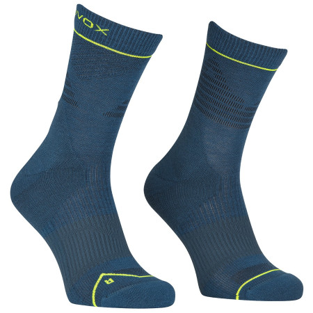 Чоловічі шкарпетки Ortovox Alpine Pro Comp Mid Socks M синій