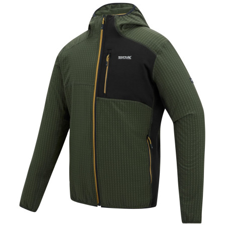 Чоловіча толстовка Regatta Alven