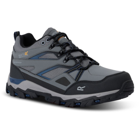 Чоловічі черевики Regatta Holcombe 3 Low