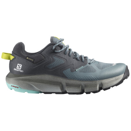 Жіночі туристичні черевики Salomon Predict Hike Gtx W чорний/синій