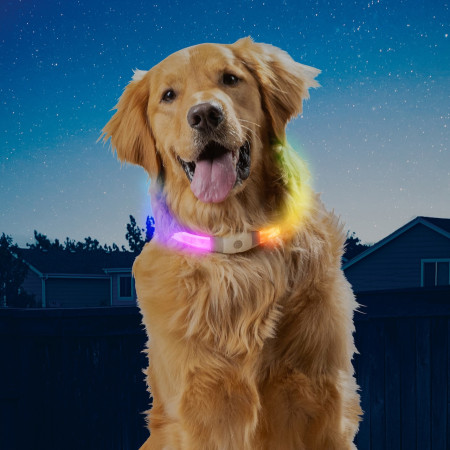 Світловий нашийник для собаки Nite Ize NiteHowl Max LED