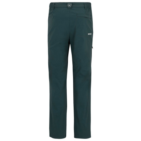 Чоловічі штани Regatta Highton Trousers II