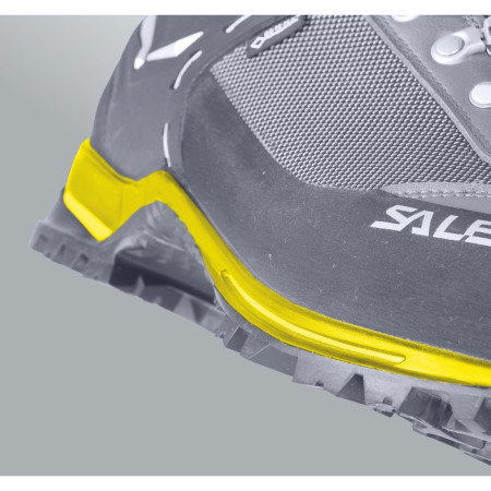 Жіночі черевики Salewa WS Rapace GTX