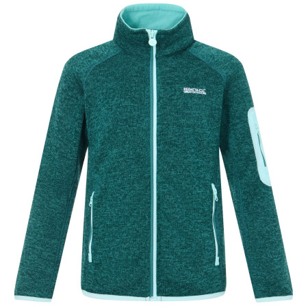 Дитяча толстовка Regatta Junior Newhill DrkForGlacGr зелений DrkForGlacGr