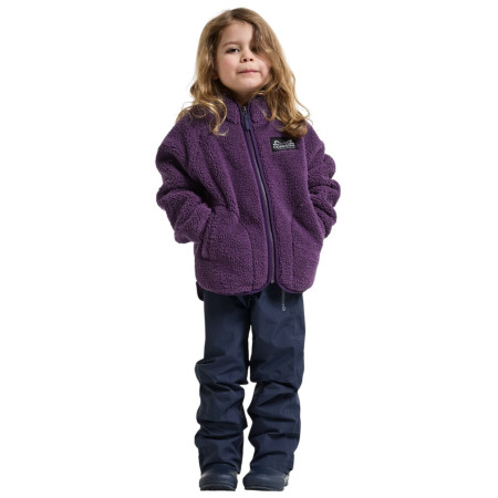 Дитяча толстовка Didriksons Gibbs Kids Fullzip 2 Northen Purple