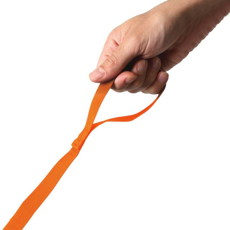 Дитячий рюкзак LittleLife Toddler Backpack, FF, Lion