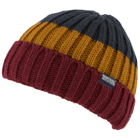 Зимова шапка Regatta Davion Hat V