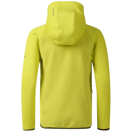 Дитяча куртка Dare 2b Kids Switch Out Hybrid Frg/Gldncyp