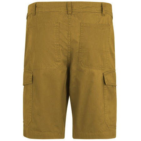 Чоловічі шорти Regatta Ruwan Shorts