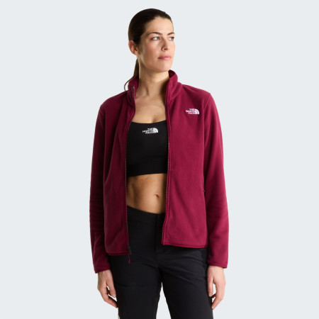 Жіноча кофта The North Face W Glacier Fleece Jacket