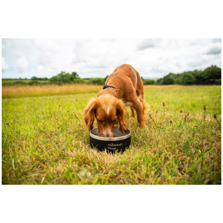 Миска для собаки Mountain Paws Basecamp Dog Bowl