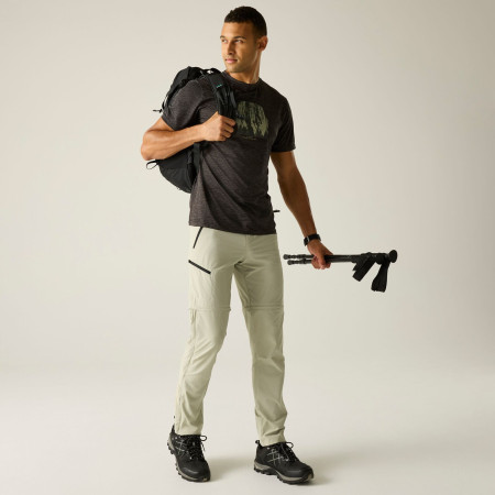 Чоловічі штани Regatta Xert Stretch Z/O Trousers
