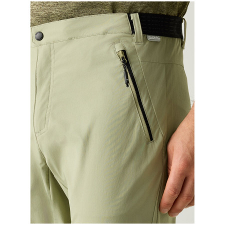 Чоловічі штани Regatta Mountain Z/O Trousers
