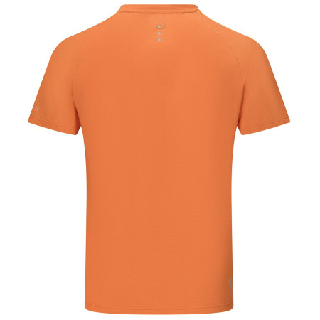 Чоловіча футболка Dare 2b Tech II Tee