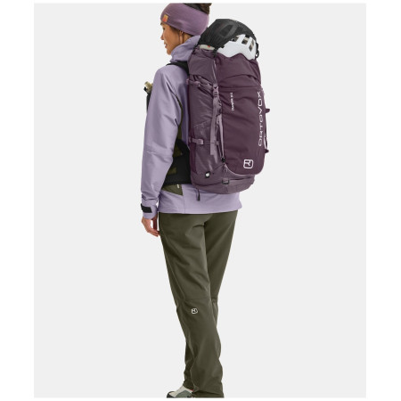 Туристичний рюкзак Ortovox Traverse 38 S