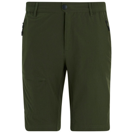 Чоловічі шорти Regatta Highton Shorts Long II