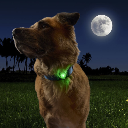 Ліхтарик для собаки Nite Ize NiteDog™ Rechargeable Pet Light