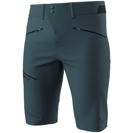 Чоловічі шорти Dynafit Transalper Dst Shorts M
