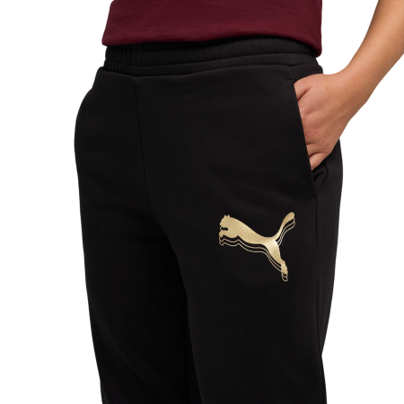 Жіночі спортивні штани Puma ESS METALLIC Sweatpants FL