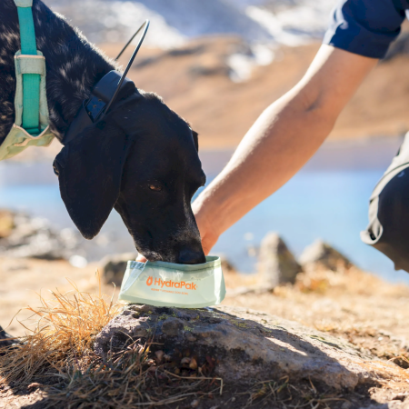 Складана миска Hydrapak Rover Dog Bowl