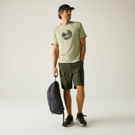 Чоловічі шорти Regatta Arlery Shorts