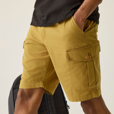 Чоловічі шорти Regatta Ruwan Shorts
