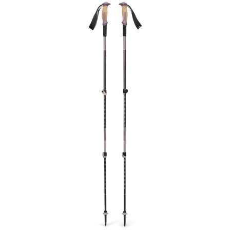 Трекінгові палиці Black Diamond Trail Vista Shock