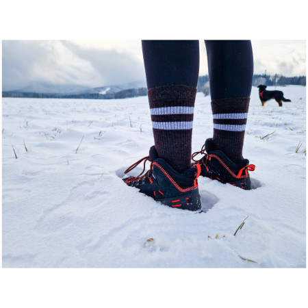 Шкарпетки Warg Classic Merino