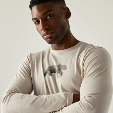 Чоловіча футболка Regatta Maylow