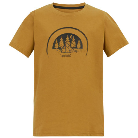 Дитяча футболка Regatta Bosley Wood Brown коричневий Wood Brown