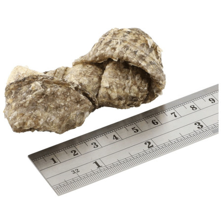 Ласощі для собак Fish4Dogs Dental Sea Jerky Fish Knots 100g