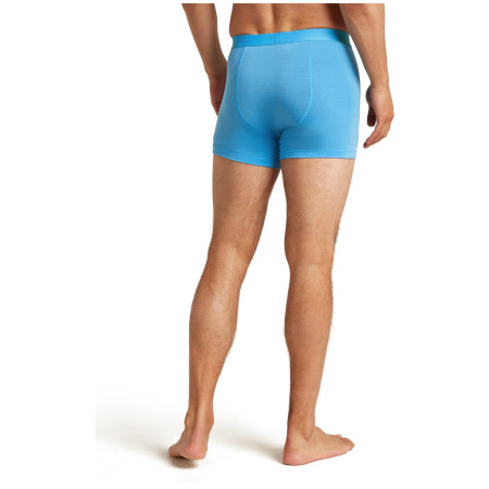 Чоловічі боксери Icebreaker M Mer 125 Cool-Lite Anatomica Boxers