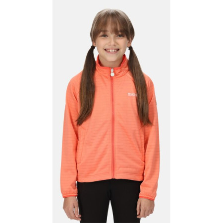 Дитяча толстовка Regatta Jnr Highton LteII