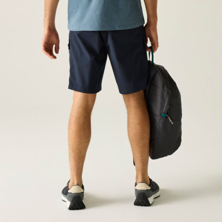 Чоловічі шорти Regatta Arlery Shorts