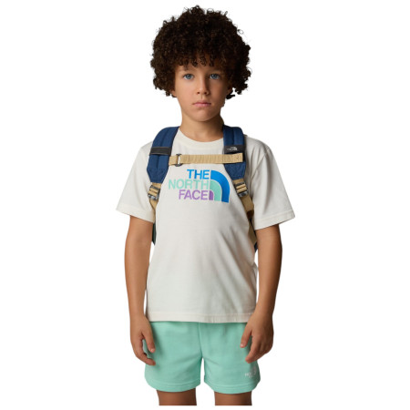 Дитячий рюкзак The North Face Y Mini Explorer