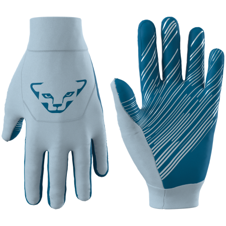 Рукавиці Dynafit Upcycled Thermal Gloves