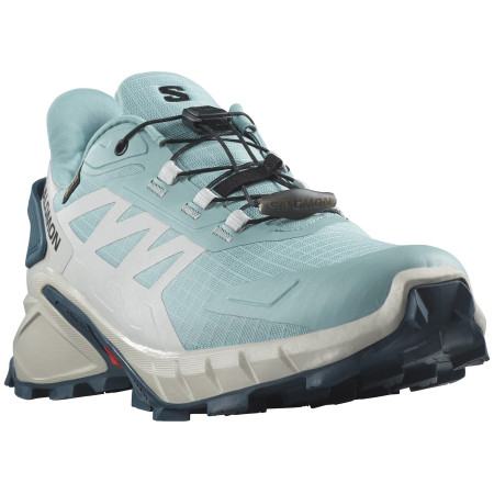 Жіночі кросівки Salomon Supercross 4 Gore-Tex сірий/синій