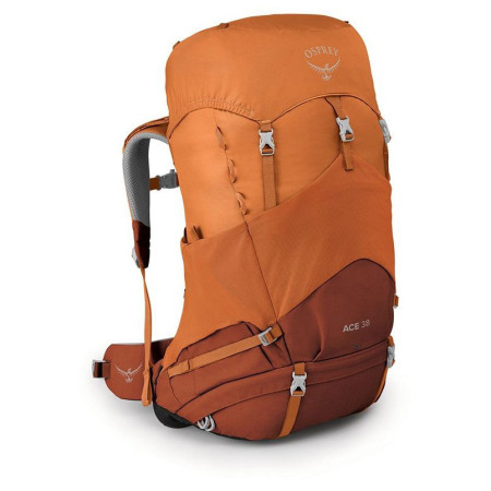 Дитячий рюкзак Osprey Ace 38 2023