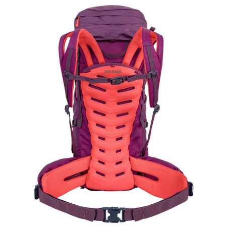 Жіночий рюкзак Salewa Alptrek 38 +5 Bp Ws