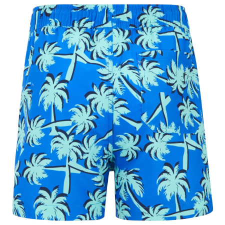 Дитячий купальник Regatta Skander SBluIGrPalm