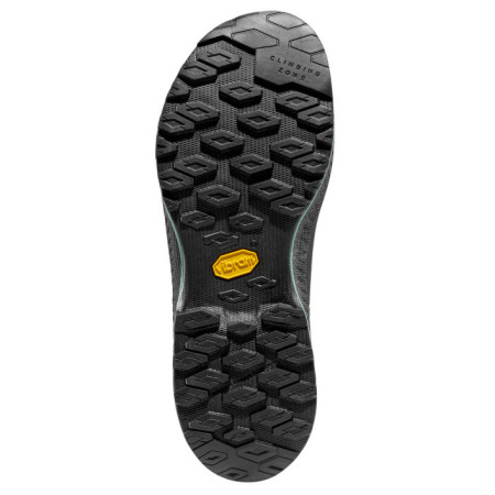 Жіночі черевики La Sportiva TX4 Evo Woman