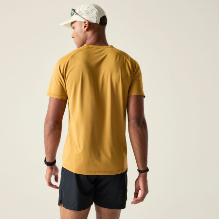 Чоловіча футболка Dare 2b Tech II Tee