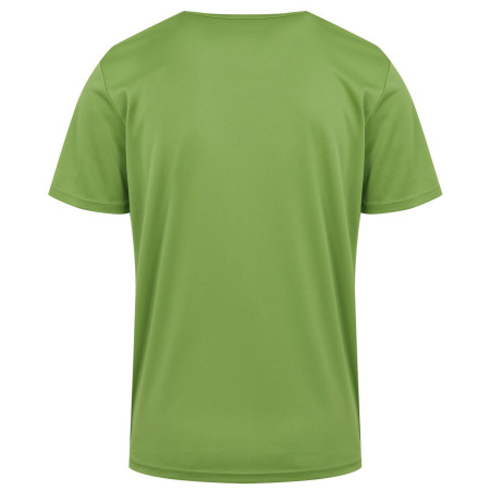 Чоловіча футболка Regatta Fingal Slogan III