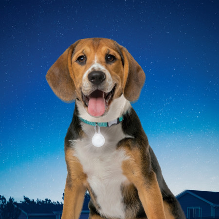 Світловий нашийник для собаки Nite Ize SpotLit Collar Light